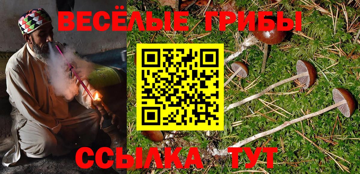 Псилоцибиновые грибы MAGIC MUSHROOMS  Вход с VPN  Бирск 
